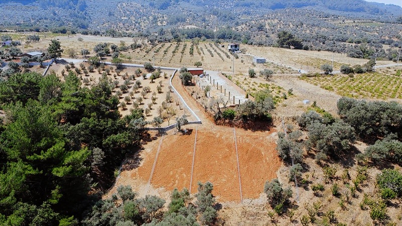 Kemalpaşa Cumalı Satılık 350 M2 Bahçe — fotoğraf 6