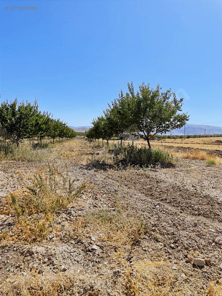 Fiyat Düştü Acil Satılık Bahçe 1075 Metre Kare — fotoğraf 4