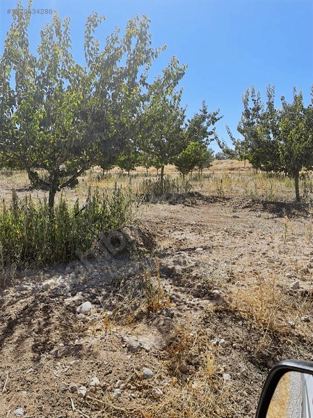 Fiyat Düştü Acil Satılık Bahçe 1075 Metre Kare — fotoğraf 9