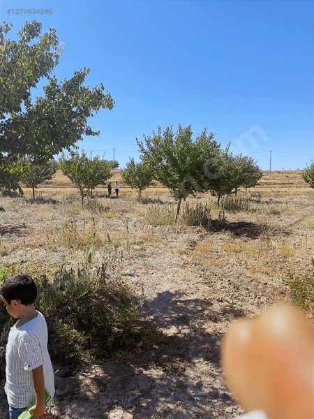 Fiyat Düştü Acil Satılık Bahçe 1075 Metre Kare — fotoğraf 14