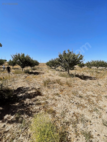 Fiyat Düştü Acil Satılık Bahçe 1075 Metre Kare — fotoğraf 15