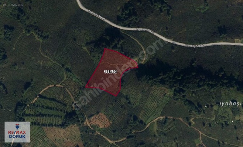 Gürgentepe'de Verimli Fındık Bahçesi | Toplam 14.646 M² — fotoğraf 4