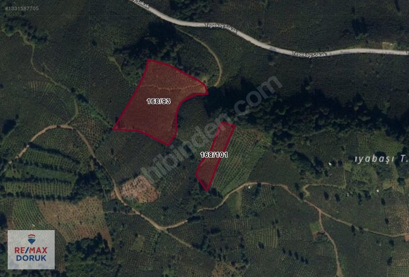 Gürgentepe'de Verimli Fındık Bahçesi | Toplam 14.646 M² — fotoğraf 5