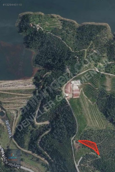Seferihisar Turabiye Mah 2.828 M2 Satılık Zeytinlik