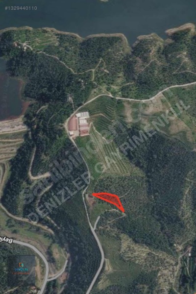 Seferihisar Turabiye Mah 2.828 M2 Satılık Zeytinlik — fotoğraf 2