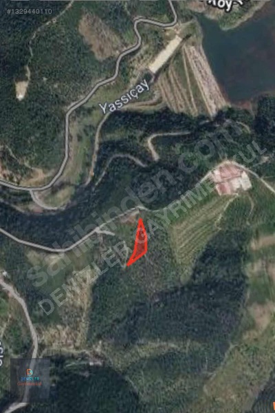 Seferihisar Turabiye Mah 2.828 M2 Satılık Zeytinlik — fotoğraf 3