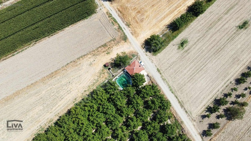 Livadan Yola Çok Yakın İçinde Evi Olan 27 Dönüm Ceviz Bağı — fotoğraf 11
