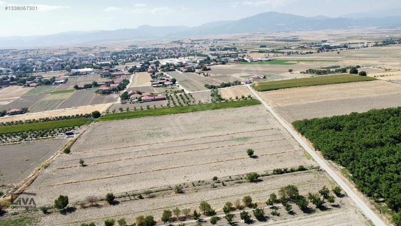 Livadan Yola Çok Yakın İçinde Evi Olan 27 Dönüm Ceviz Bağı — fotoğraf 15