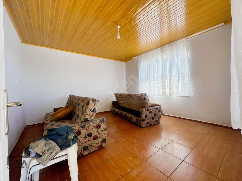Livadan Yola Çok Yakın İçinde Evi Olan 27 Dönüm Ceviz Bağı — fotoğraf 19