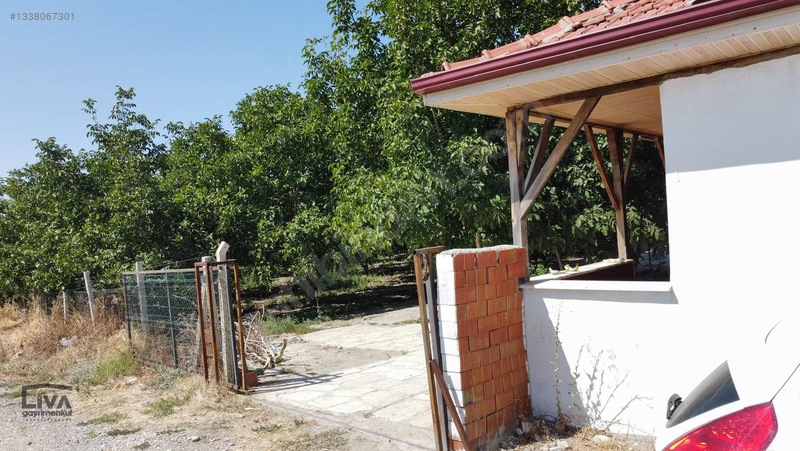 Livadan Yola Çok Yakın İçinde Evi Olan 27 Dönüm Ceviz Bağı — fotoğraf 23