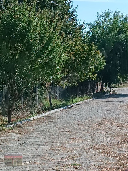 Asarkaya Emlak'tan Gazi Osman Paşa Mah.satılık Arsa — fotoğraf 12