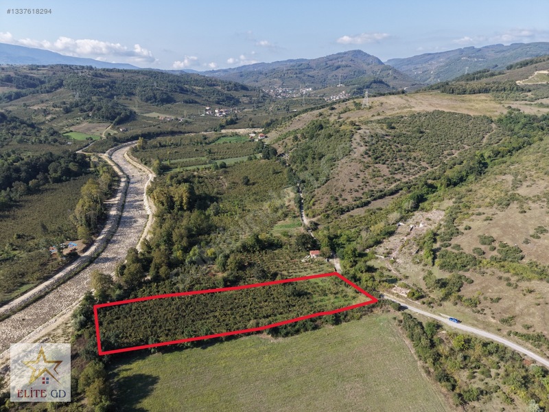 Düzce Üniversite Bölgesi Yörükler Mevki 6646 M2 Yatırımlık Arazi — fotoğraf 2