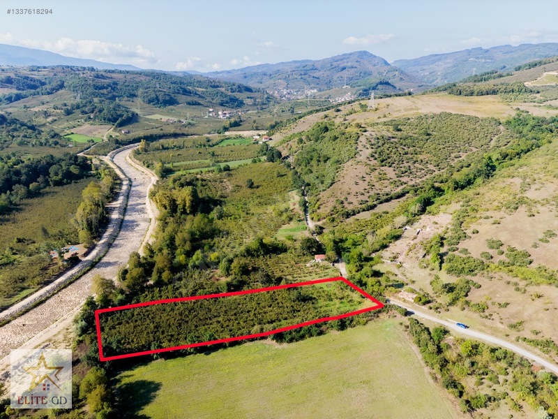 Düzce Üniversite Bölgesi Yörükler Mevki 6646 M2 Yatırımlık Arazi — fotoğraf 3