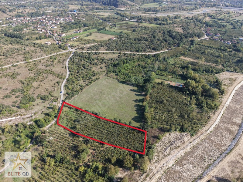 Düzce Üniversite Bölgesi Yörükler Mevki 6646 M2 Yatırımlık Arazi — fotoğraf 4