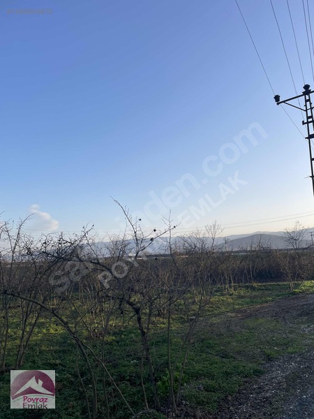 Gümüşova Sultaniye Köyünde 2 Dönüm Satılık Arsa — fotoğraf 6