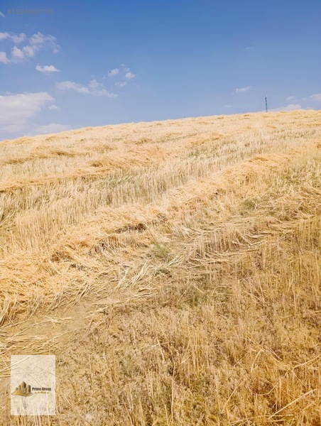 Karayatakta 3 Parça Toplam 21.912 M2 Satılık Tarlalar — fotoğraf 3