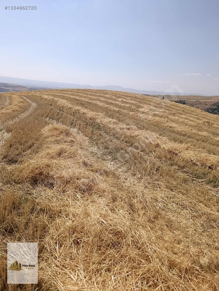 Karayatakta 3 Parça Toplam 21.912 M2 Satılık Tarlalar — fotoğraf 7