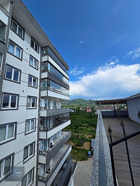 Fibi'den Espiye Adabük Deniz Manzaralı 3+2 Satılık Dubleks Daire — fotoğraf 34