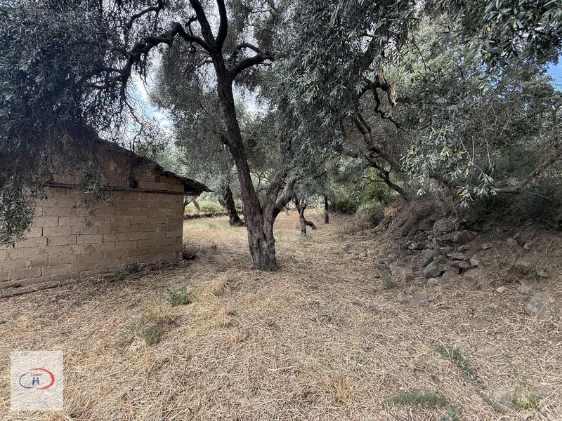 Evkur Emlaktan İnce Pınar Mevkinde Satılık Arsa — fotoğraf 12