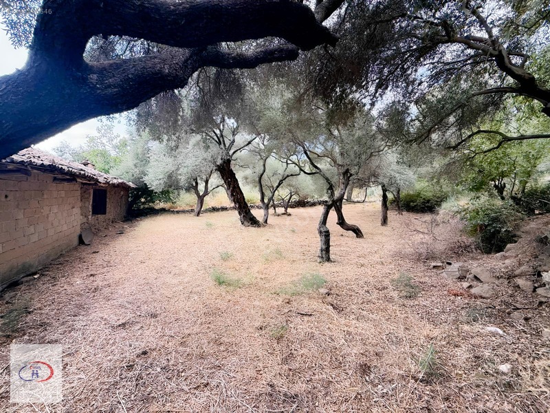 Evkur Emlaktan İnce Pınar Mevkinde Satılık Arsa — fotoğraf 13
