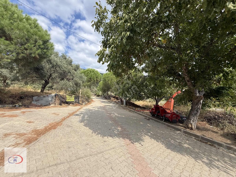 Evkur Emlaktan İnce Pınar Mevkinde Satılık Arsa — fotoğraf 29
