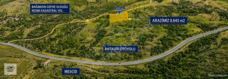9 Dönüm | Üzüm Bağı | Otoyola 300 Metre | Resmi Yol Cephe — fotoğraf 3