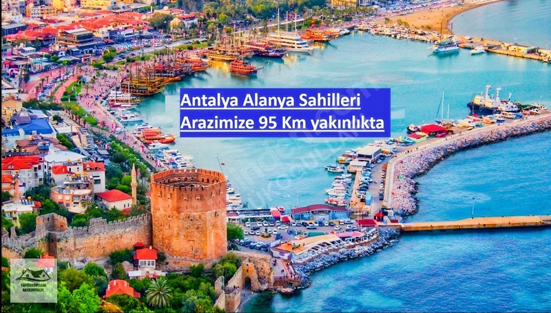 9 Dönüm | Üzüm Bağı | Otoyola 300 Metre | Resmi Yol Cephe — fotoğraf 10