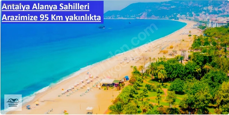 9 Dönüm | Üzüm Bağı | Otoyola 300 Metre | Resmi Yol Cephe — fotoğraf 12