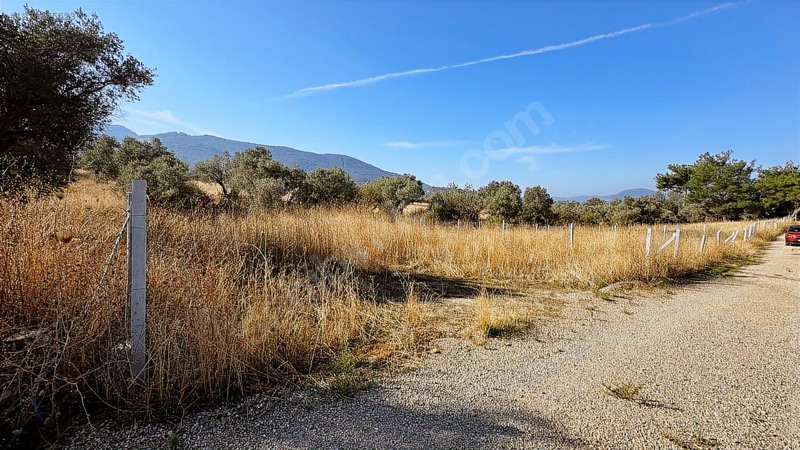 !aciilll Satılık !kemalpaşa Gökyaka Köy İçinde 400 M2 — fotoğraf 2