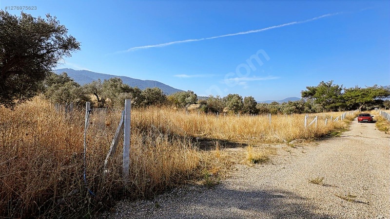 !aciilll Satılık !kemalpaşa Gökyaka Köy İçinde 400 M2 — fotoğraf 3