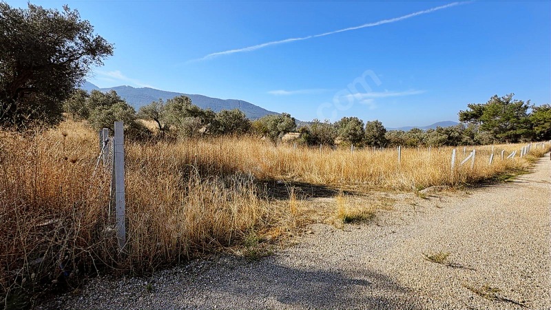 !aciilll Satılık !kemalpaşa Gökyaka Köy İçinde 400 M2 — fotoğraf 5