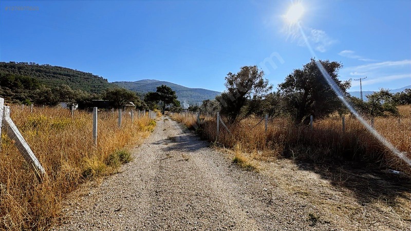 !aciilll Satılık !kemalpaşa Gökyaka Köy İçinde 400 M2 — fotoğraf 6
