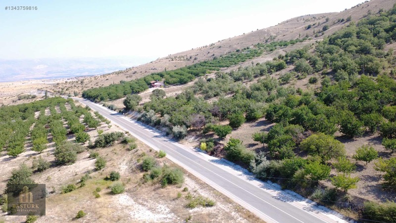 Akçadağda 8.726,61 M² Yola Cepheli 90 Kök Kayısılı Arazi — fotoğraf 3