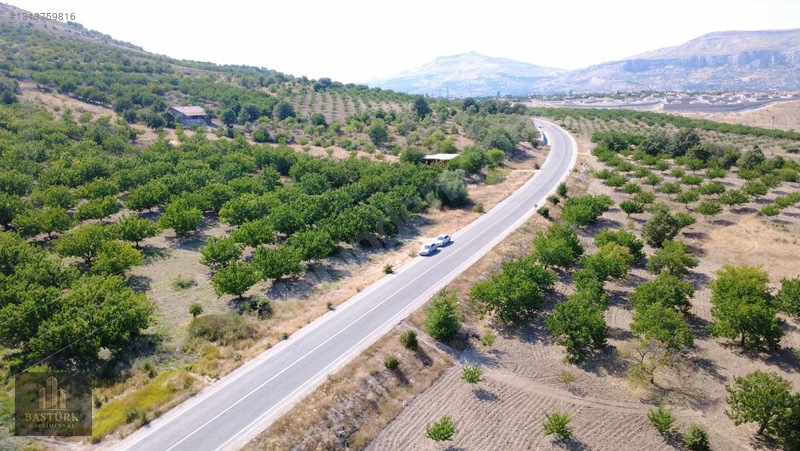 Akçadağda 8.726,61 M² Yola Cepheli 90 Kök Kayısılı Arazi — fotoğraf 4