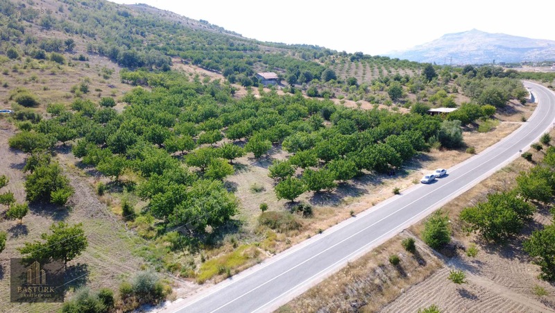 Akçadağda 8.726,61 M² Yola Cepheli 90 Kök Kayısılı Arazi — fotoğraf 5