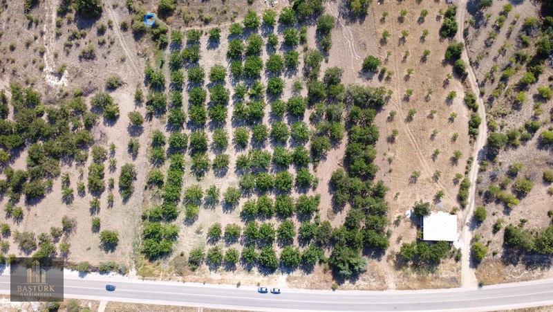 Akçadağda 8.726,61 M² Yola Cepheli 90 Kök Kayısılı Arazi — fotoğraf 7