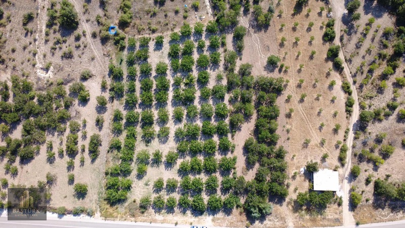 Akçadağda 8.726,61 M² Yola Cepheli 90 Kök Kayısılı Arazi — fotoğraf 11