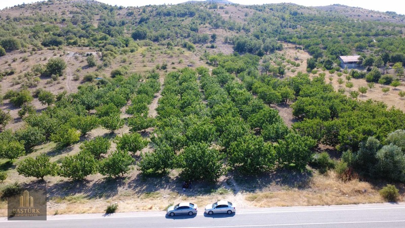 Akçadağda 8.726,61 M² Yola Cepheli 90 Kök Kayısılı Arazi — fotoğraf 13