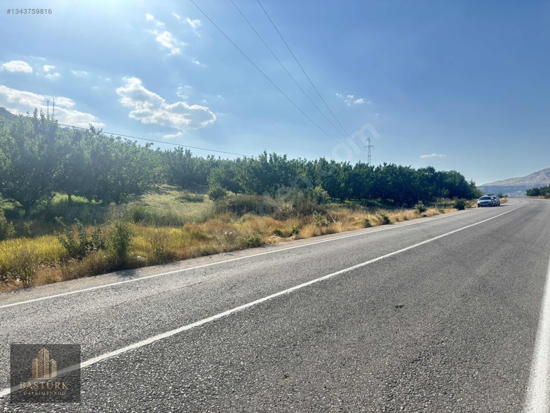 Akçadağda 8.726,61 M² Yola Cepheli 90 Kök Kayısılı Arazi — fotoğraf 15