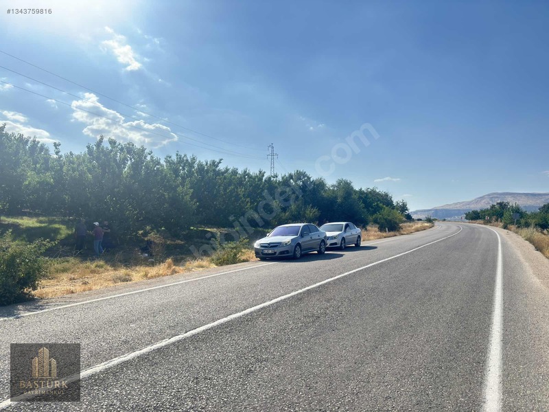 Akçadağda 8.726,61 M² Yola Cepheli 90 Kök Kayısılı Arazi — fotoğraf 16