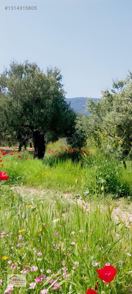 New Form'dan Mut Göksü Nehri Yanı Satılık 2 Adet Bahçe