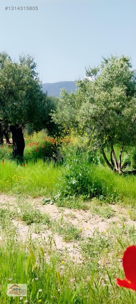 New Form'dan Mut Göksü Nehri Yanı Satılık 2 Adet Bahçe — fotoğraf 2