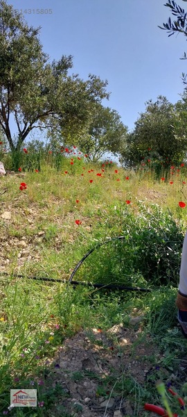 New Form'dan Mut Göksü Nehri Yanı Satılık 2 Adet Bahçe — fotoğraf 6