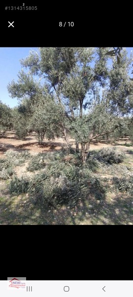 New Form'dan Mut Göksü Nehri Yanı Satılık 2 Adet Bahçe — fotoğraf 8