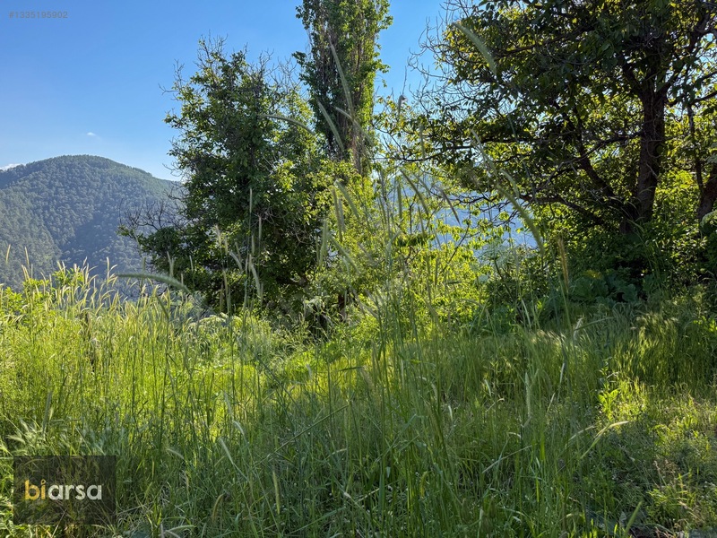 Bolu Mudurnu'da Köyiçi 484 M² İmarlı Parsel Doğa İçerisinde — fotoğraf 9
