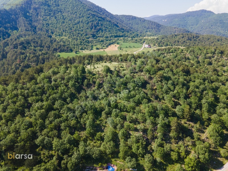 Bolu Mudurnu'da Köyiçi 484 M² İmarlı Parsel Doğa İçerisinde — fotoğraf 25