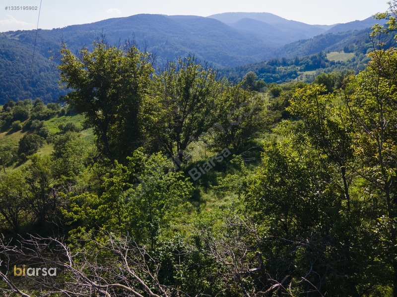 Bolu Mudurnu'da Köyiçi 484 M² İmarlı Parsel Doğa İçerisinde — fotoğraf 31