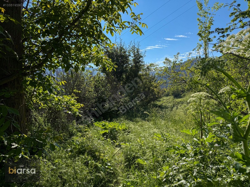 Bolu Mudurnu'da Köyiçi 484 M² İmarlı Parsel Doğa İçerisinde — fotoğraf 34