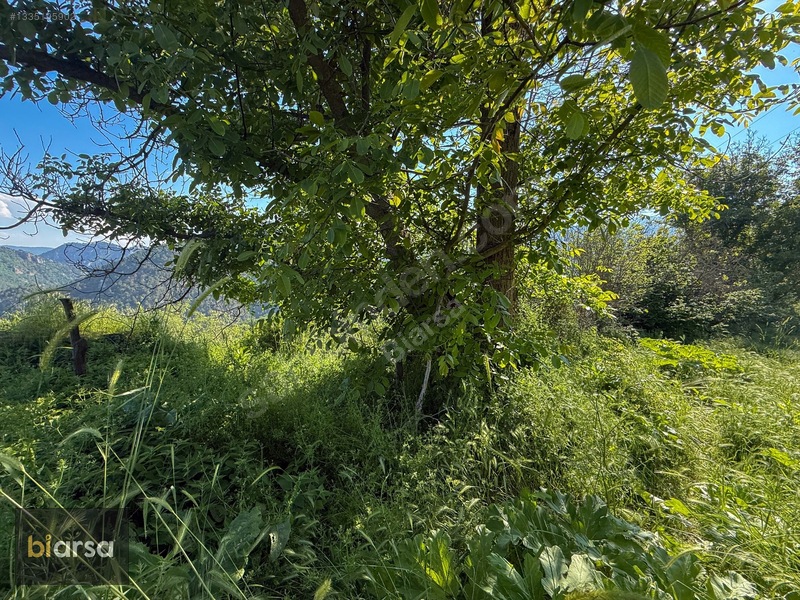 Bolu Mudurnu'da Köyiçi 484 M² İmarlı Parsel Doğa İçerisinde — fotoğraf 36
