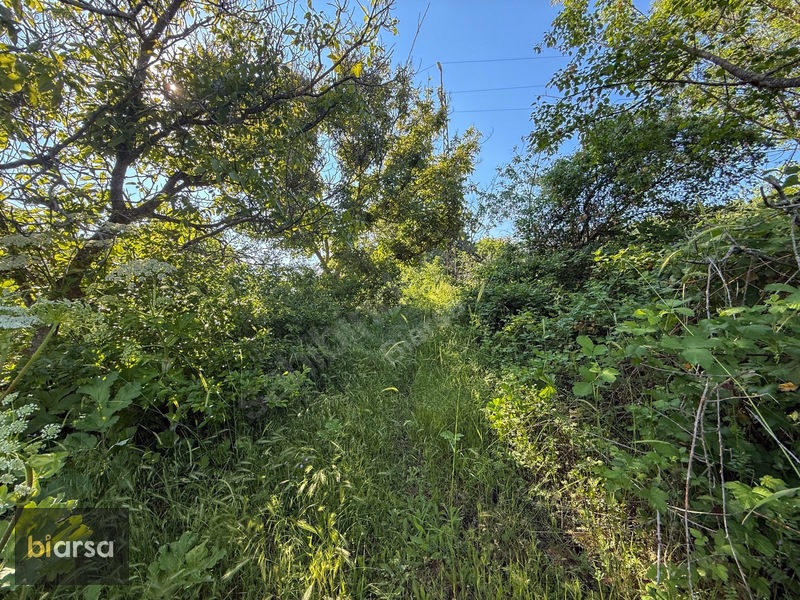 Bolu Mudurnu'da Köyiçi 484 M² İmarlı Parsel Doğa İçerisinde — fotoğraf 37